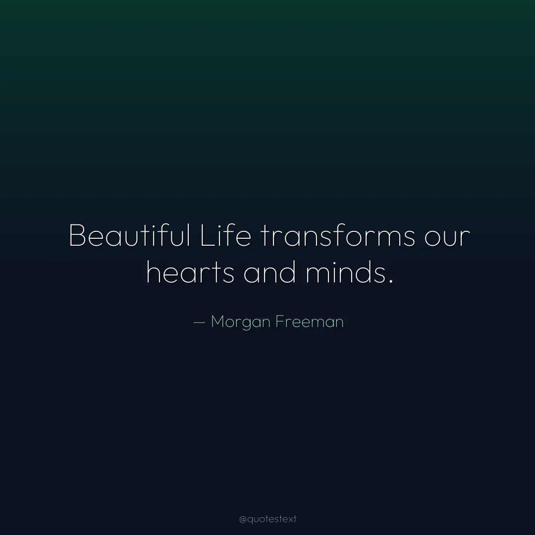 Beautiful Life transforms our hearts and minds.