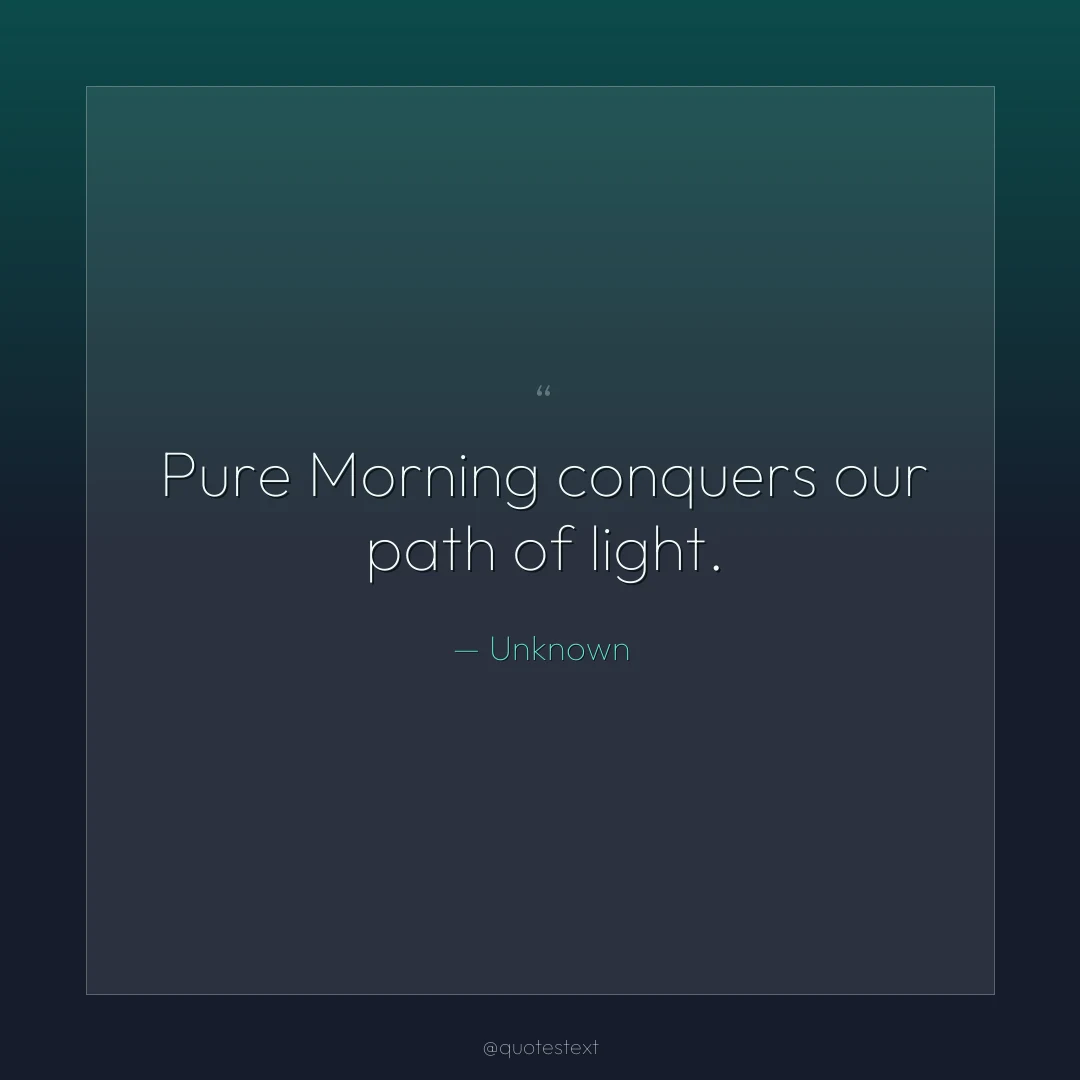 Pure Morning conquers our path of light.